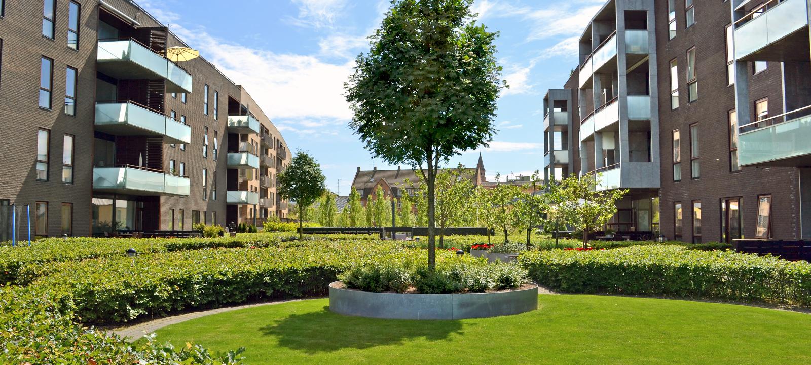 Green residential courtyard with lawn and small trees